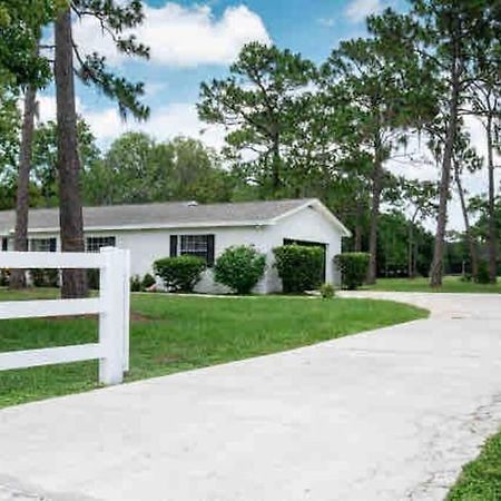 3Bdr2Bath Home In Lutz Close To Tampa, 20 Min To Stadium, Airport Экстерьер фото